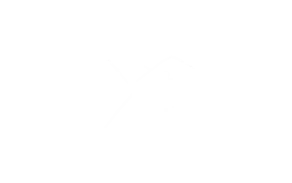 SAUERLAND RENNRAD BITM RZ_Transparent_weiß.png