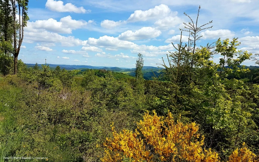 Die Böötchentour