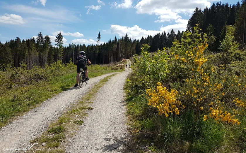Die Böötchentour