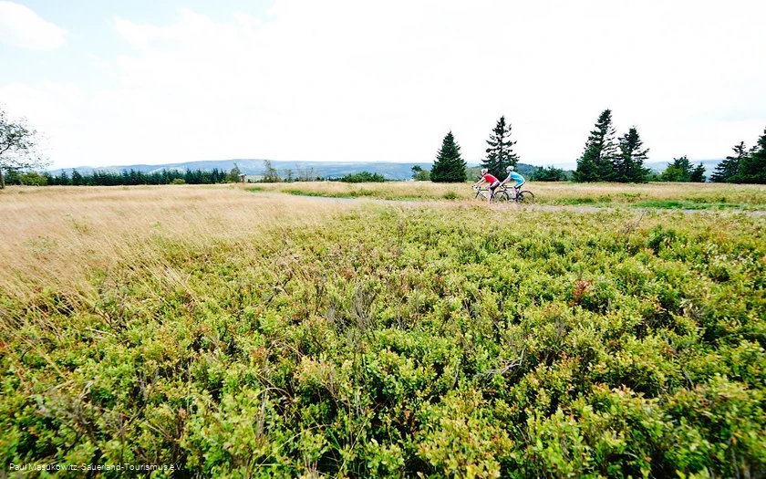 In der Hochheide-Landschaft des Kahlen Astens