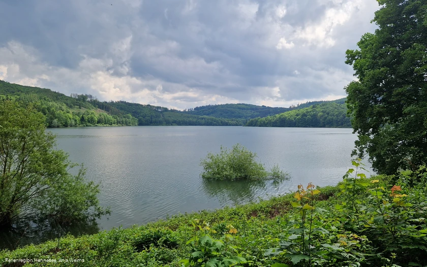 Blick auf den Hennesee 