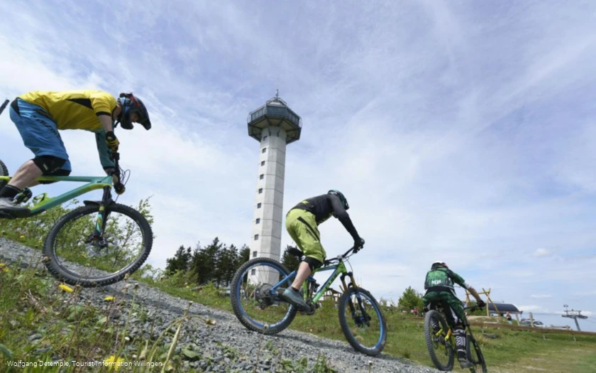 3 Mountainbiker beim rasanten Downhill