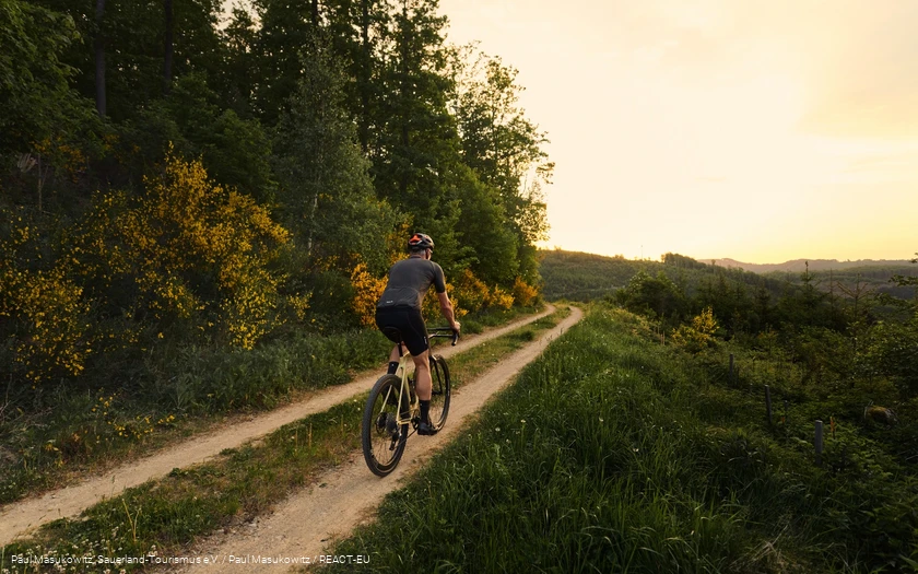 Gravelbike