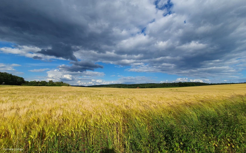 Felder Platte Heide
