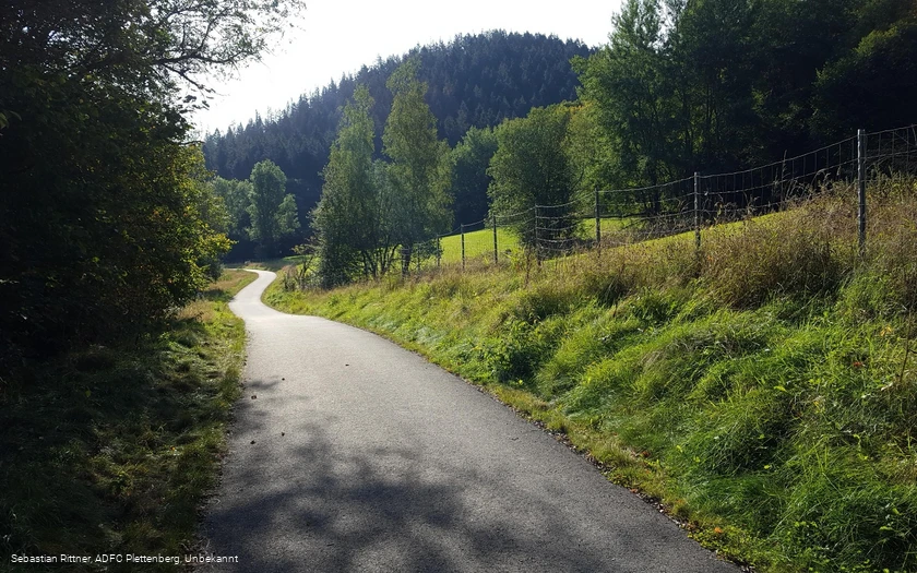 Fahrradweg im Grünetal am Grünebach