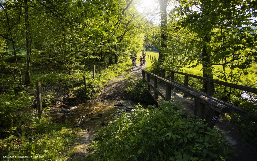 Familie radelt durch Wald über schmalen Weg mit Brücke 
