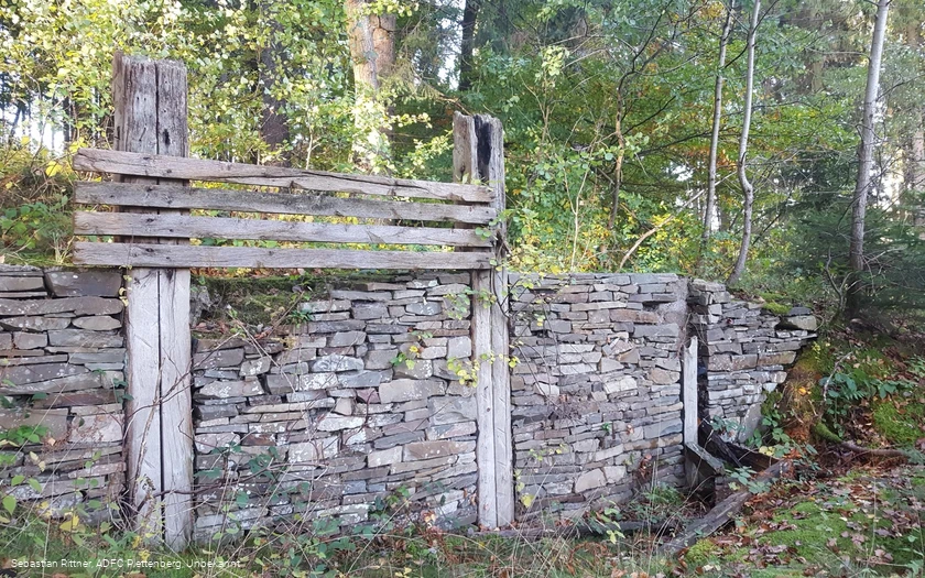 Die Wallburg auf dem Sundern
