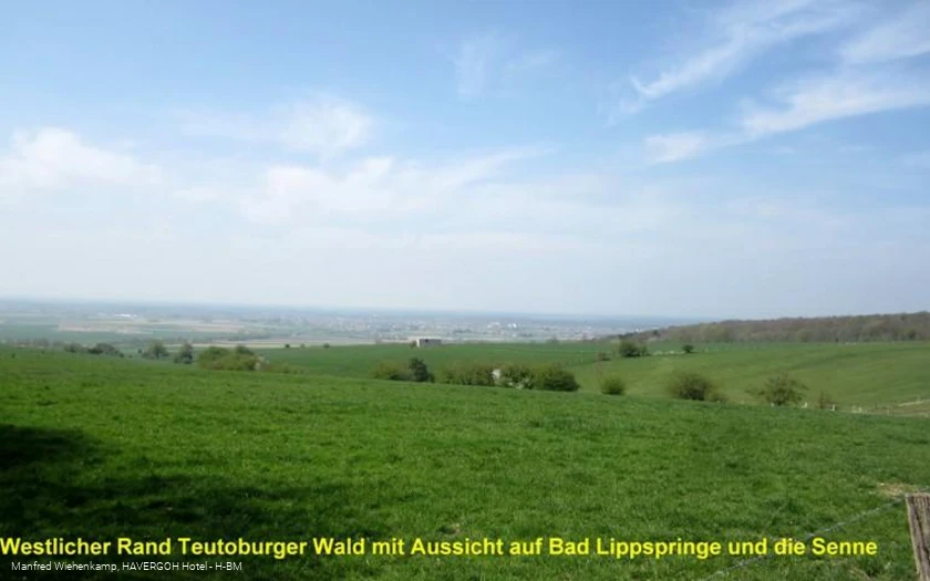Westseite Teutoburger Wald