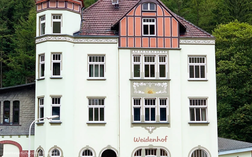 Historisches Kino Weidenhof