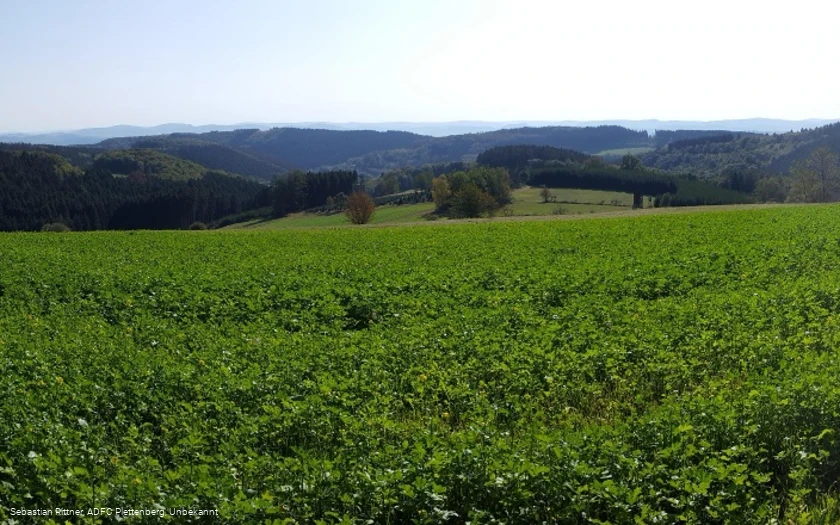 MTB Bergziegen Tour