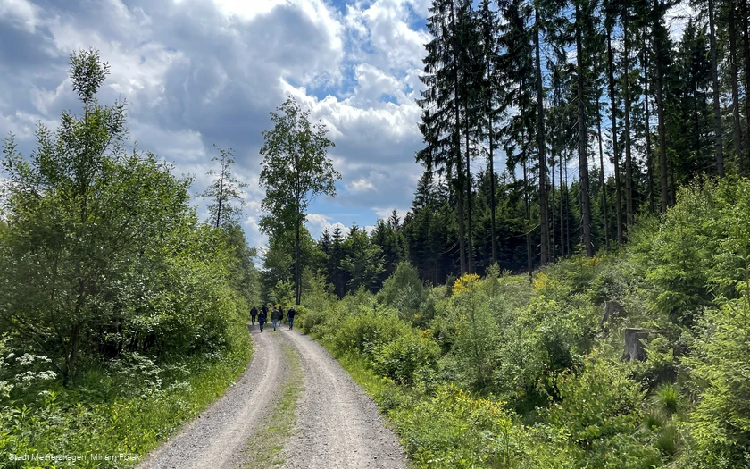 Weg zum Willertshagener Teufelsstein