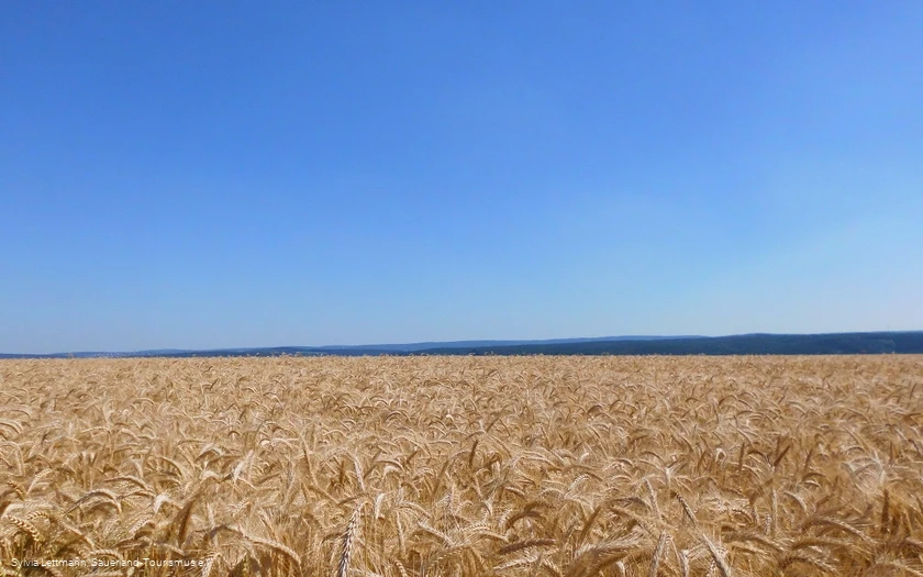 Blick über ein Feld auf der Haar