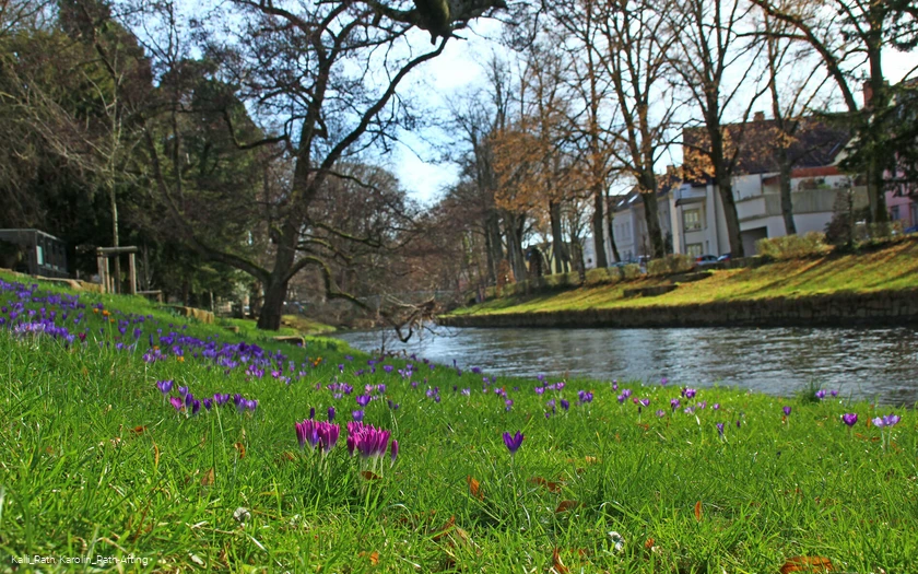 Hönne in der Innenstadt