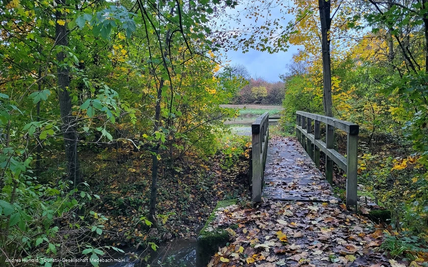 Brücke zum Weddelsee