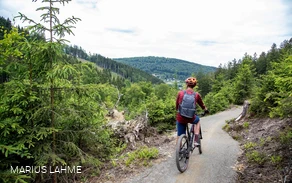 Green Trails Willingen Ruthenaar (3).jpg