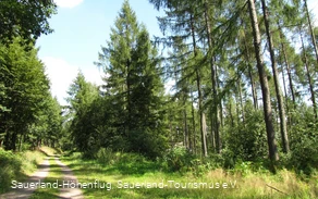 Wälder bei Hülschotten