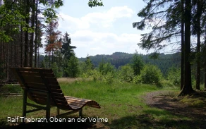 Das Waldsofa am "Erlebnispunkt Schanhollen" lädt zum Verweilen ein