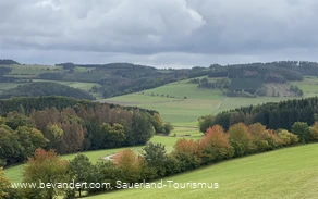 Wanderung im Upland