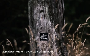 Baumstumpf WHT