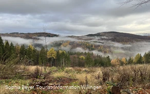 Nebel über dem Wald bei Rattlar