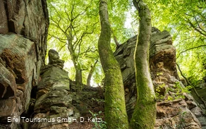 Felsen bei der Mandrack Passage im NaturWanderPark delux