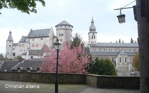 Burg Stolberg mit blühender Kirsche