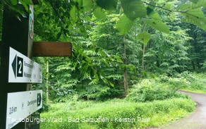 unterwegs am Wandern im Salzufler Stadtwald