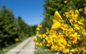 Wandern im Schmallenberger Sauerland