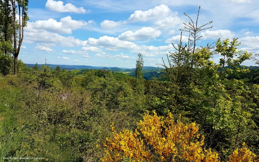 Die Böötchentour