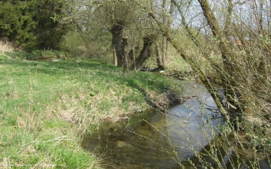 Strohte in der alten kultivierten Naturlandschaft