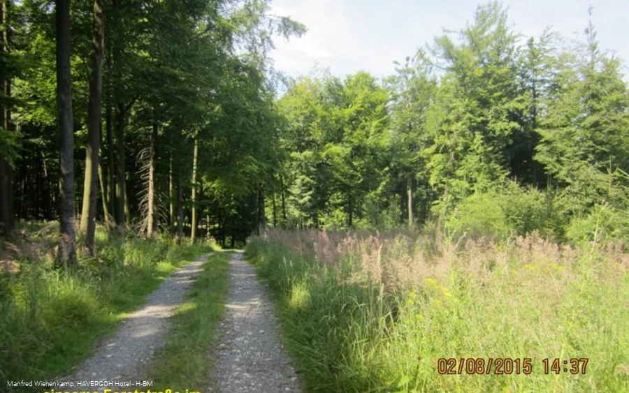 Aussichtsreiche Forststraßen am Barnacken