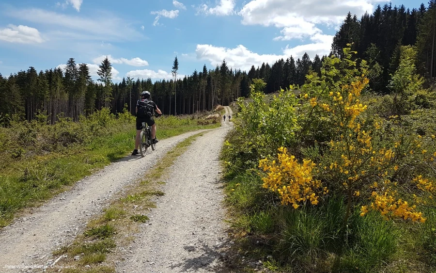 Die Böötchentour