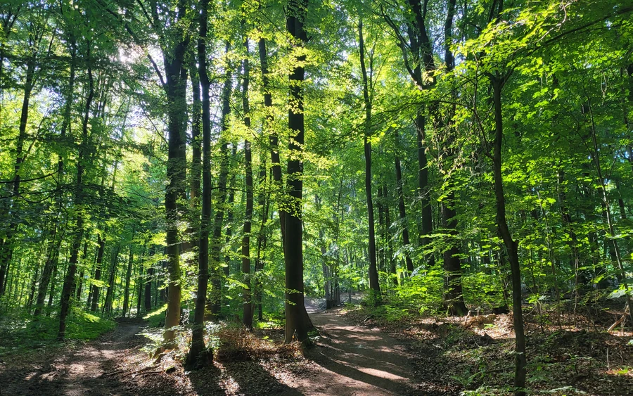 Wiehengebirge