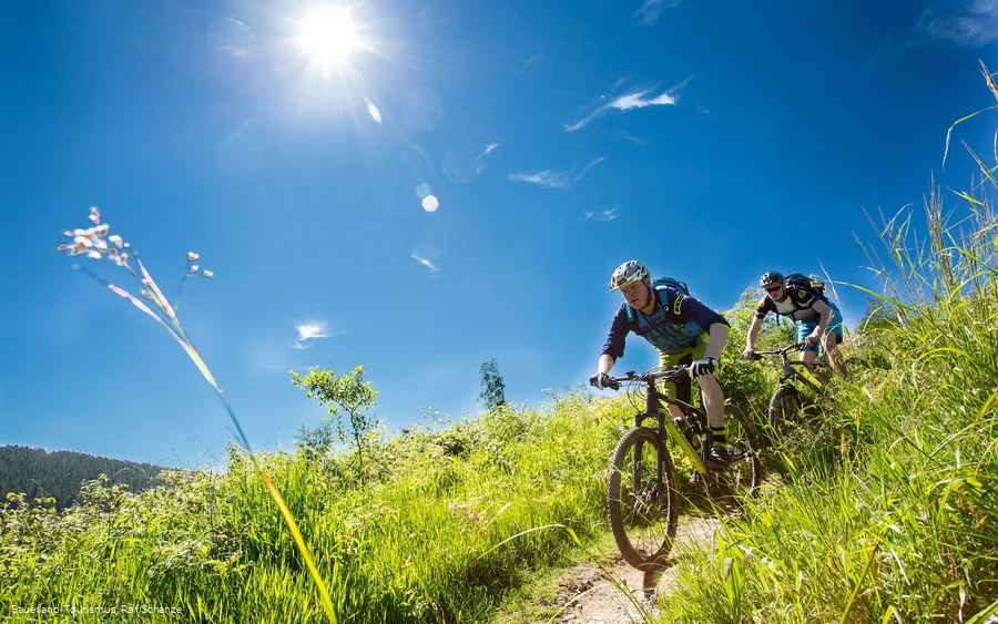 Mountainbiker fahren durch Wiese bergab bei schönem Sommerwetter