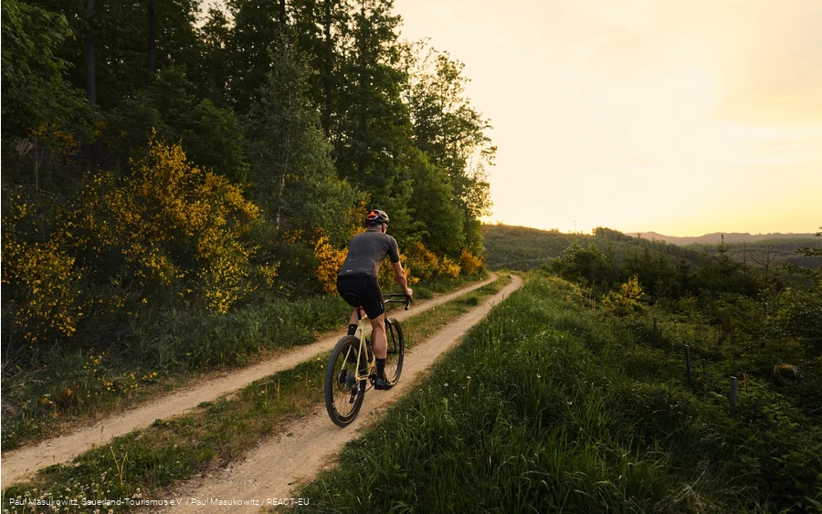Gravelbike