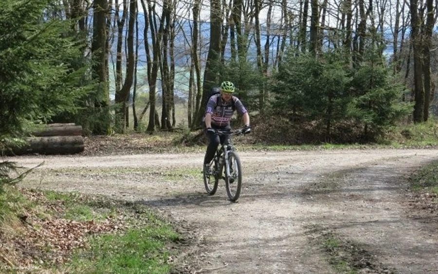 2373836