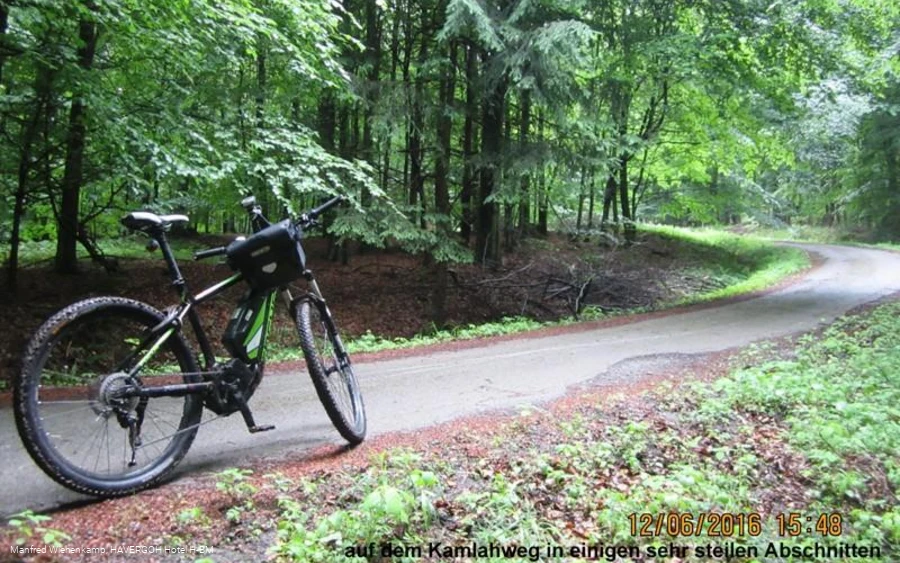 Steiler Forstweg am Eggeosthang