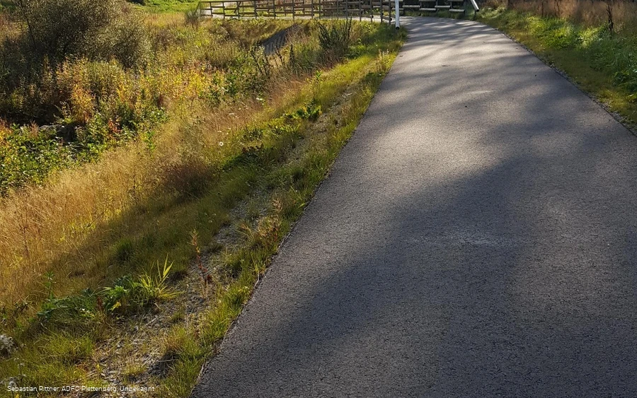 MTB Bergziegen Tour