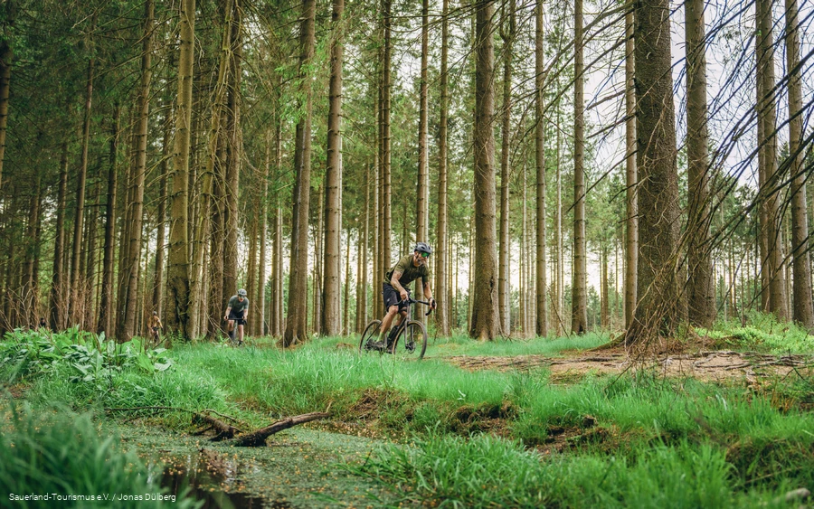 Gravelbiken fahren Singletrail