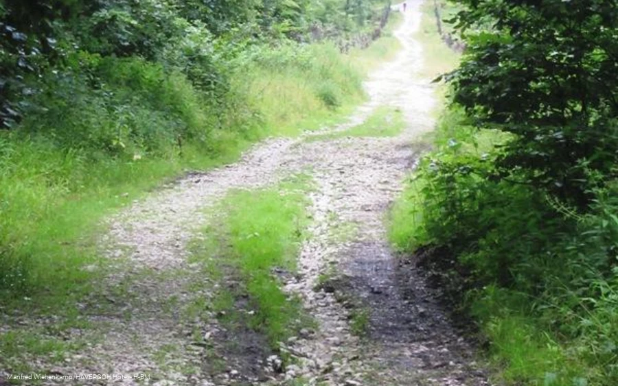 Steilabfahrt im Osthang, die Route führt direkt auf die Externsteine zu