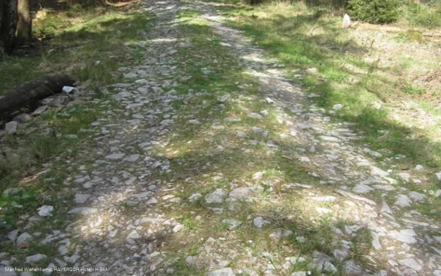 Alter Postweg, historische Wegeverbindung quer über die Hügelketten des Teutoburger Waldes