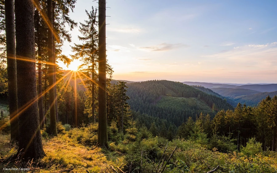 Aussicht am Rothaarsteig (c) Rothaarsteigverein e.V._Klaus-Peter Kappest.jpg