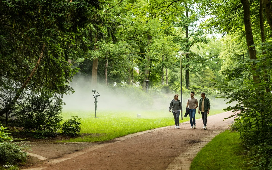 Nebelweg Bad Waldliesborn