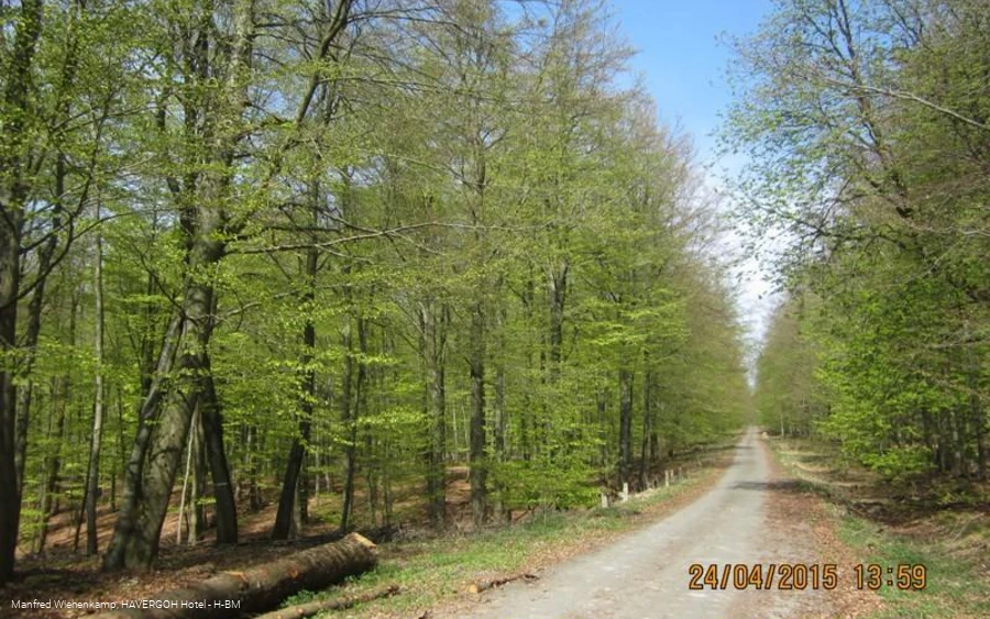 Historischer Hellweg