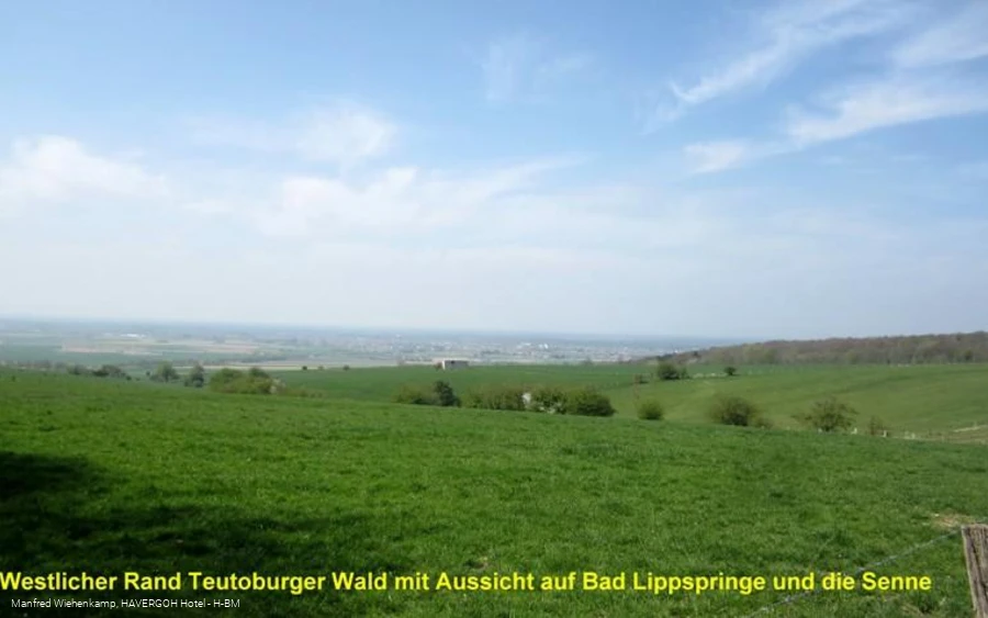 Westseite Teutoburger Wald