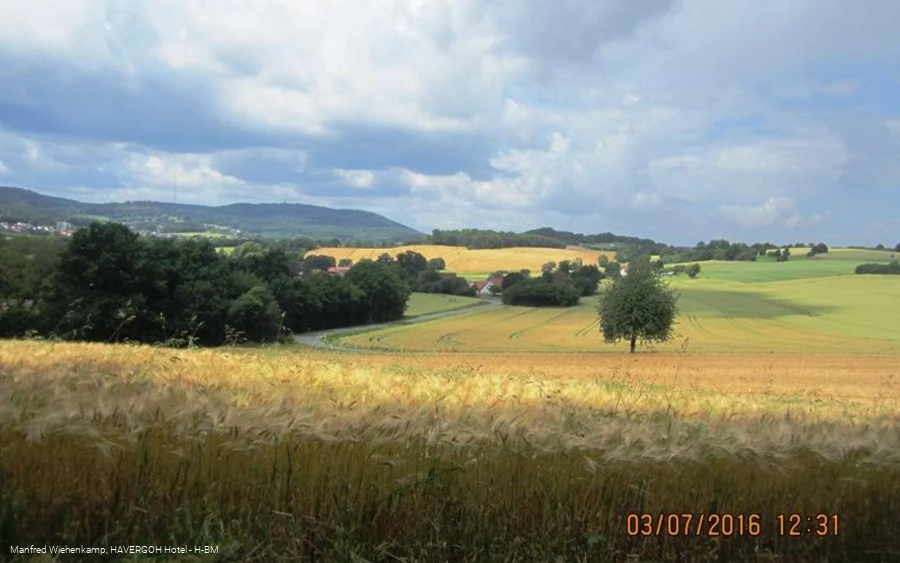 Ausblick vom Remmighauser Berg auf die Grotenburg mit dem Hermannsdenkmal