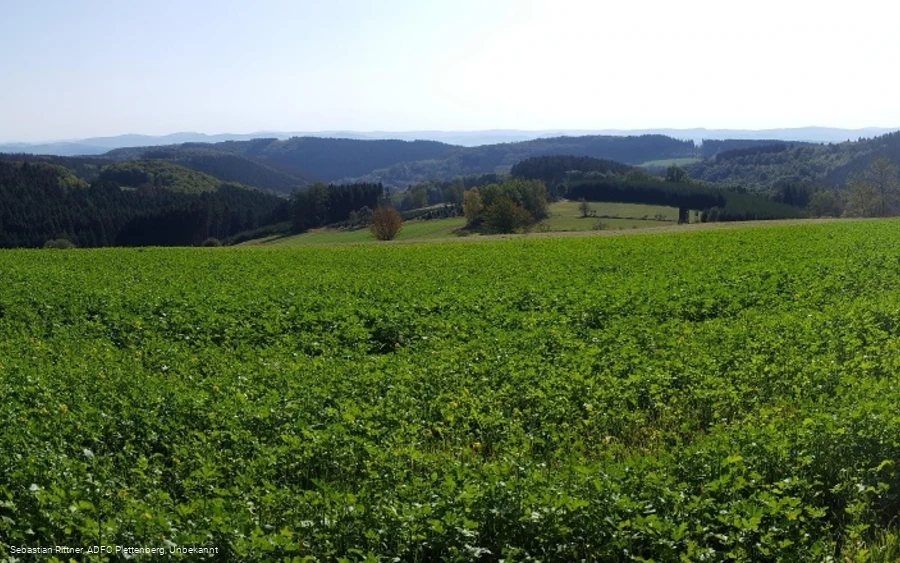 MTB Bergziegen Tour