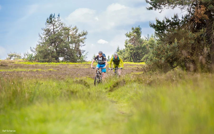 Mountainbiker fahren durch Heidelandschaft 