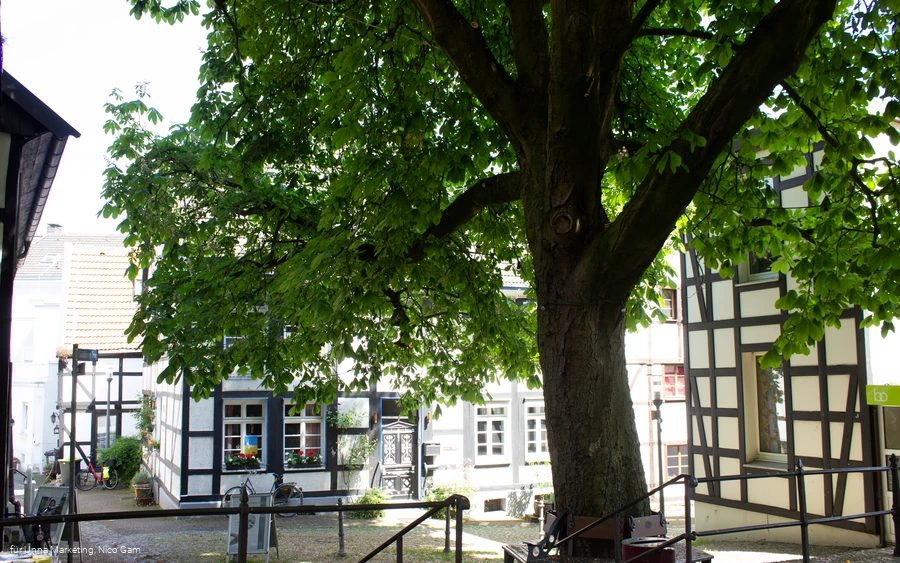 Nicolaiviertel 