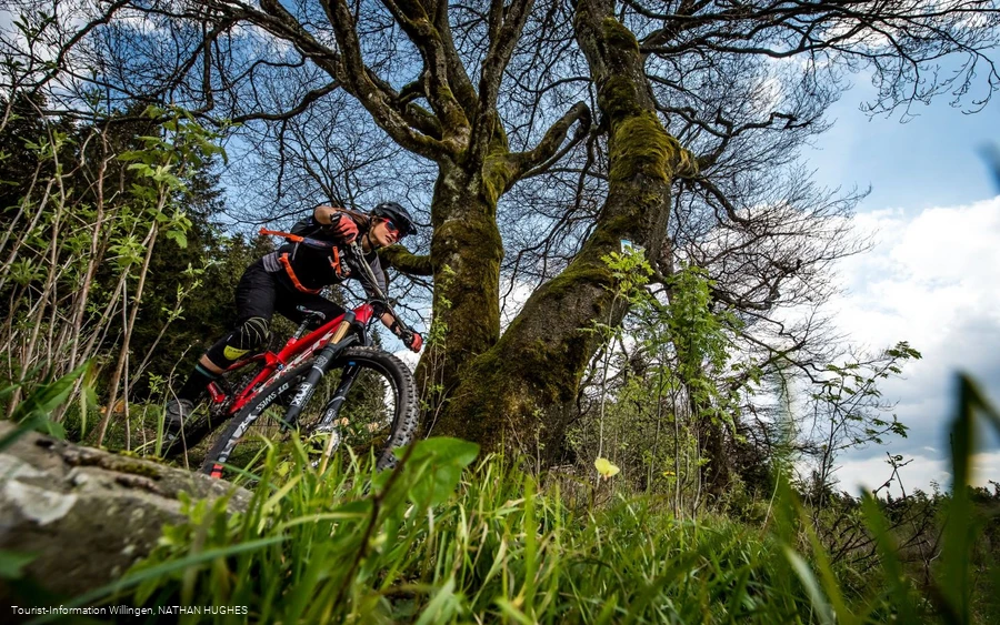 Mountainbikerin vor Baum bei der Abfahrt